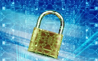 Is Your Organization Prepared to Address the Surge in Cyber Vulnerabilities?